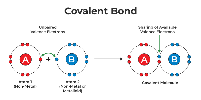 covalent bond